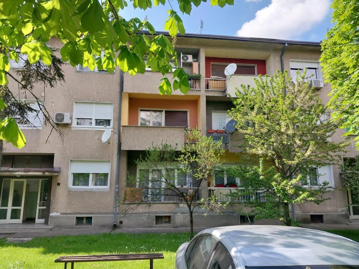 Apartmani Sofronic Loznica 1 Zewnętrze zdjęcie