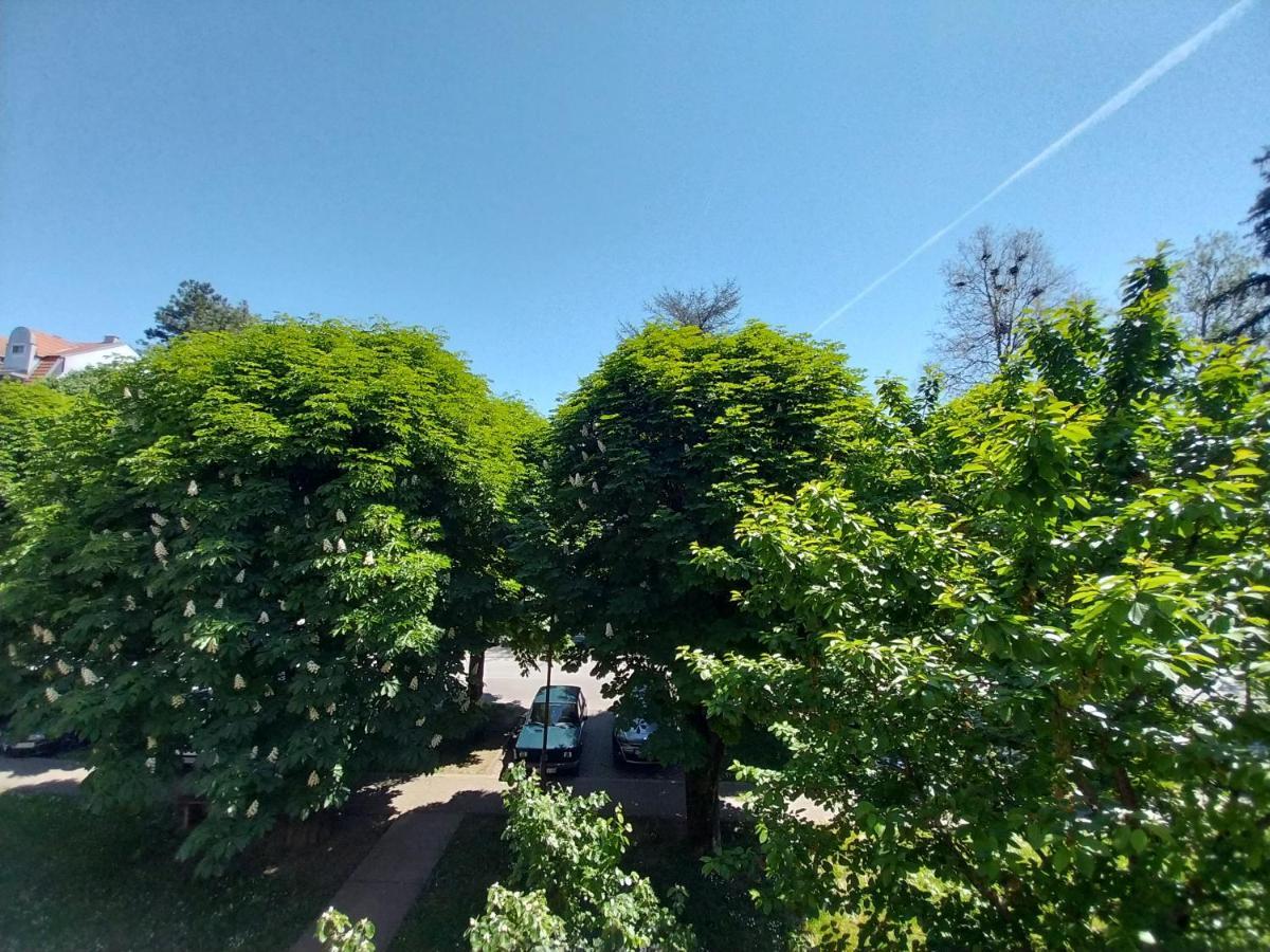 Apartmani Sofronic Loznica 1 Zewnętrze zdjęcie